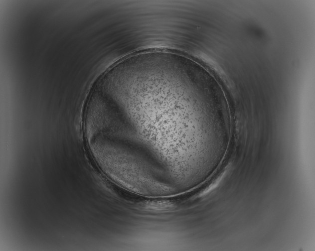 X0000089381129200706291312