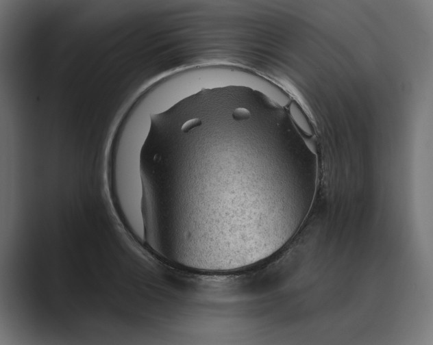 X0000089381132200706291312