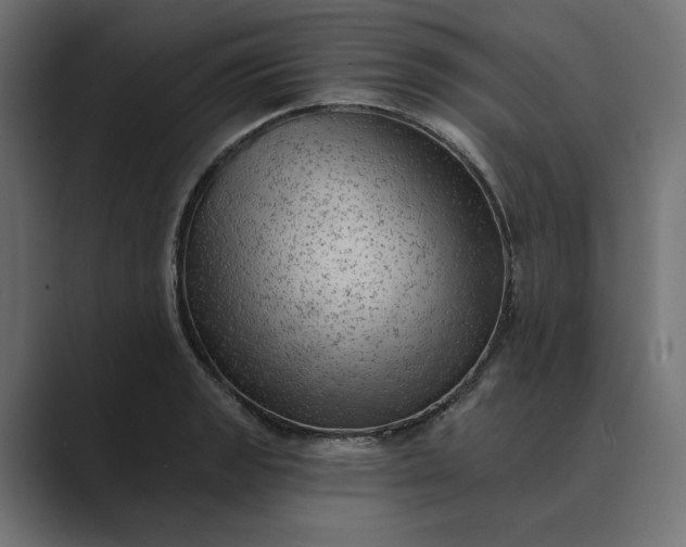 X0000089381133200706291312
