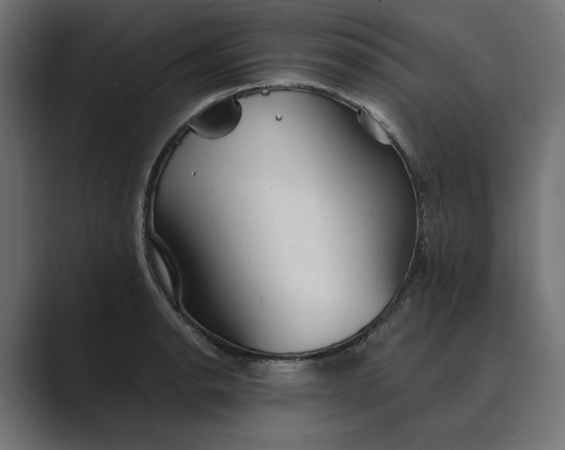 X0000089381134200706291312