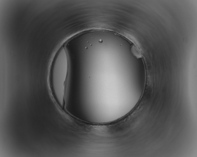 X0000089381136200706291312