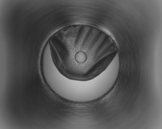 X0000089381138200706291312