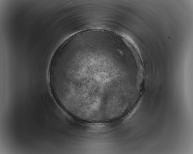 X0000089381141200706291312