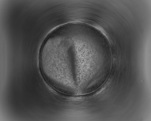 X0000089381143200706291312