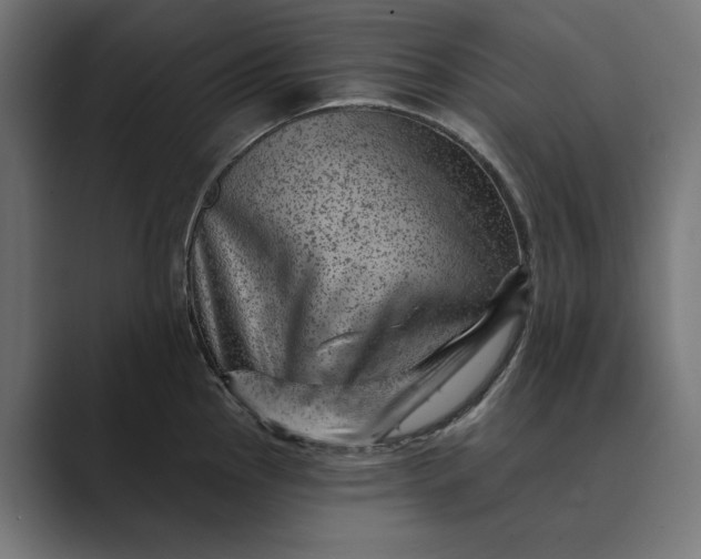 X0000089381145200706291312