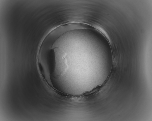 X0000089381146200706291312