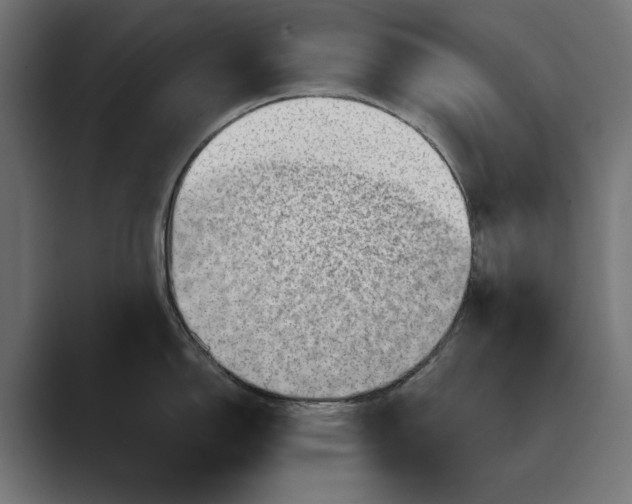 X0000089381150200706291312