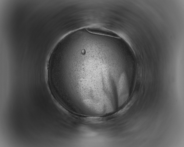 X0000089381151200706291312