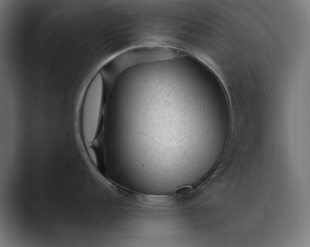 X0000089381152200706291312