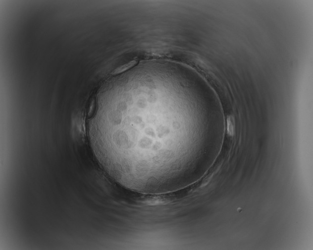 X0000089381155200706291311