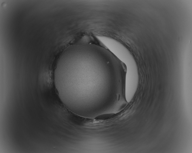 X0000089381156200706291311