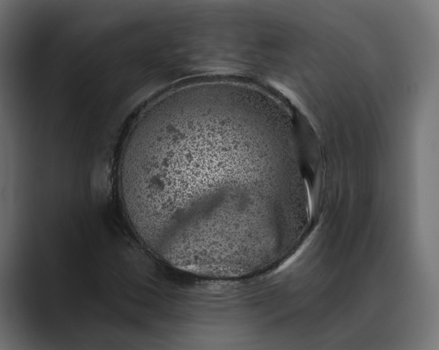 X0000089381163200706291311