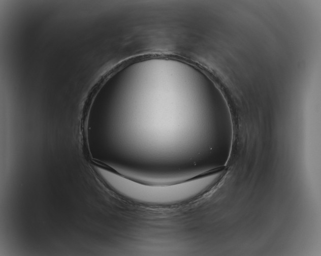 X0000089381168200706291311