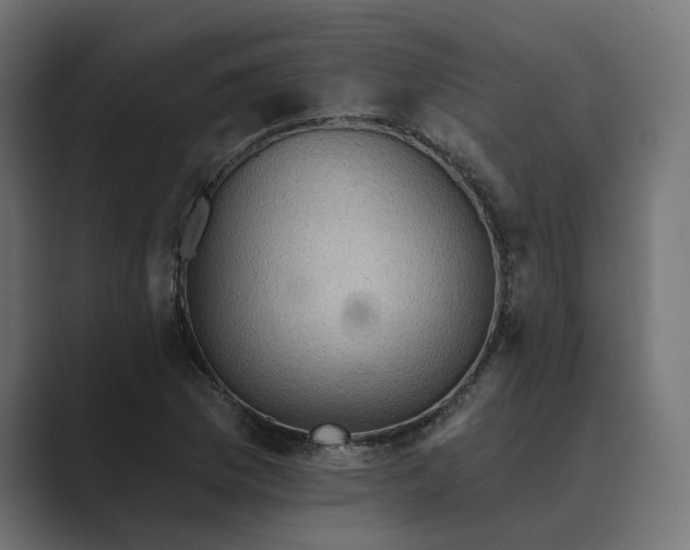 X0000089381169200706291311