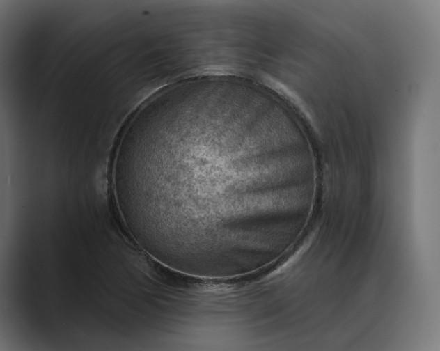 X0000089381170200706291311