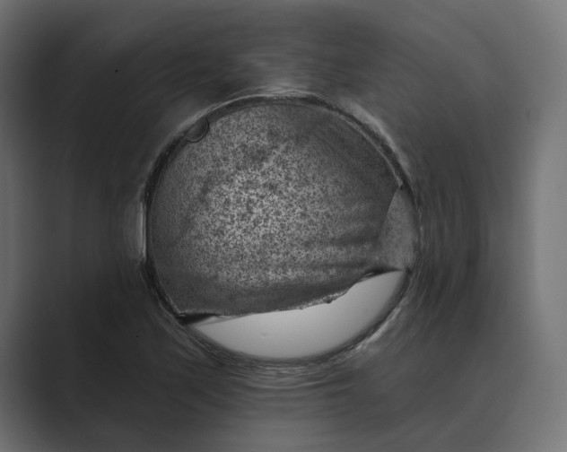 X0000089381171200706291311