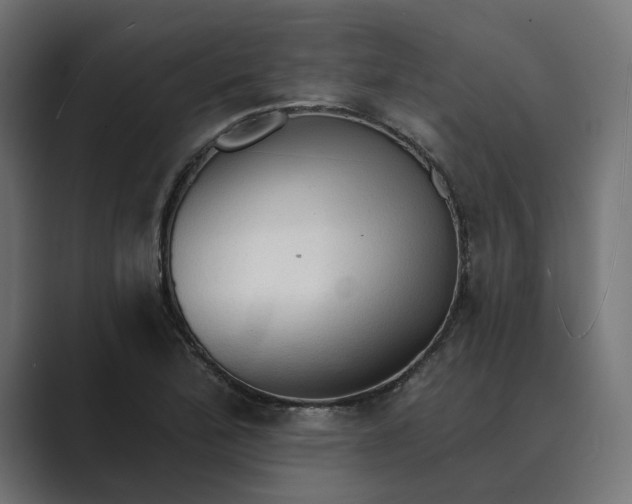 X0000089381172200706291311