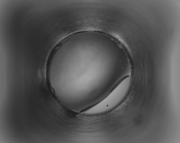 X0000089381173200706291311