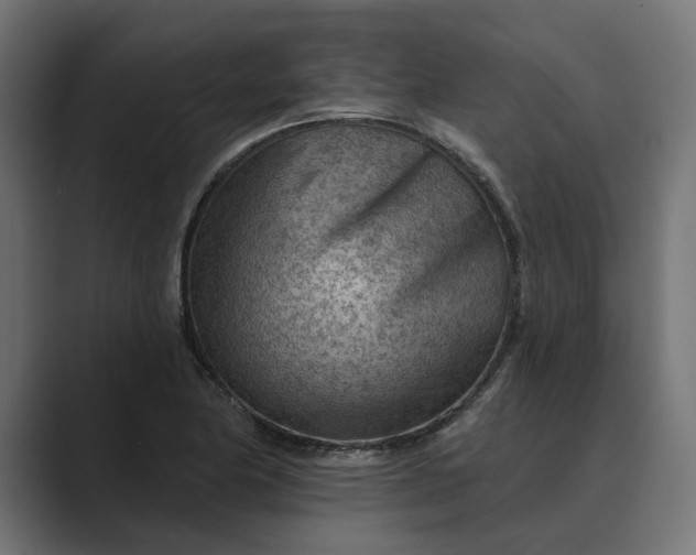 X0000089381174200706291311