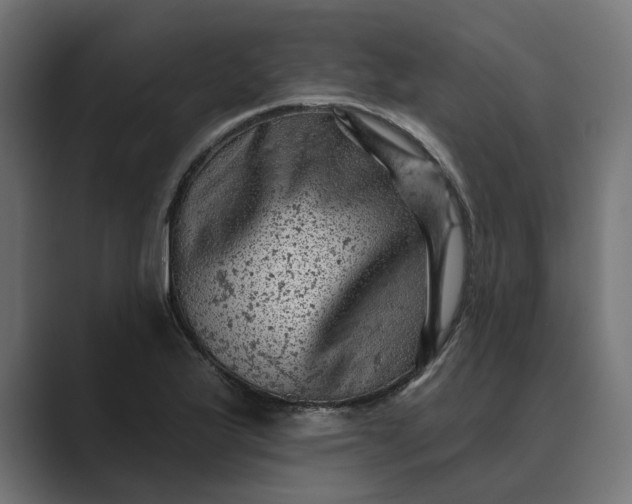 X0000089381175200706291311