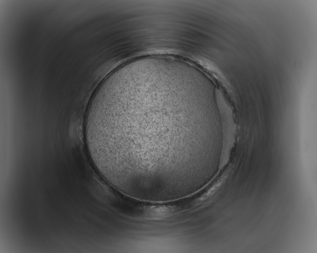 X0000089381177200706291311