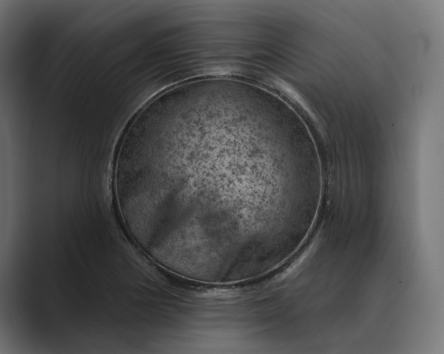 X0000089381178200706291311