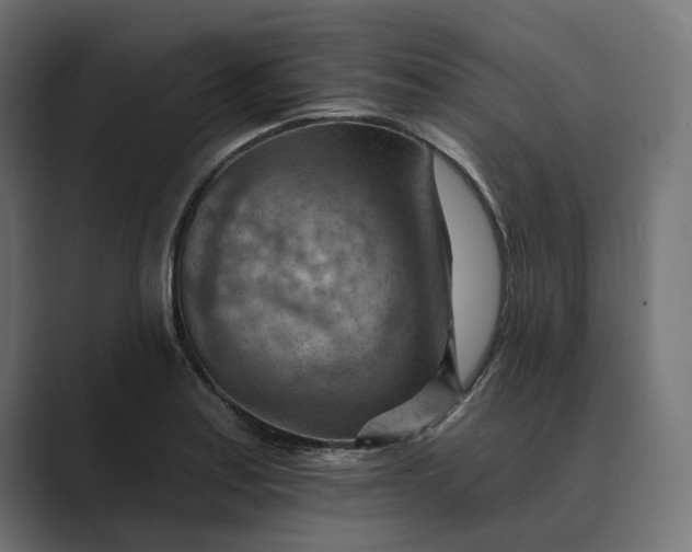 X0000089381179200706291311