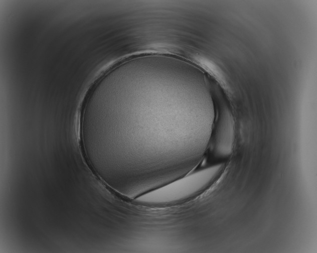 X0000089381180200706291311