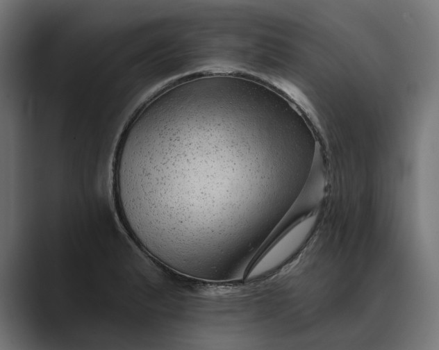 X0000089381183200706291311