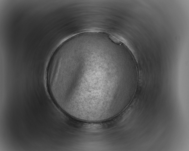 X0000089381187200706291311