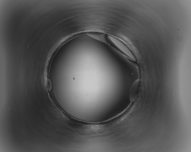 X0000089381188200706291311