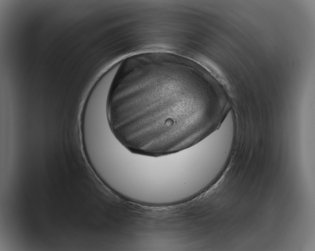X0000089381192200706291311