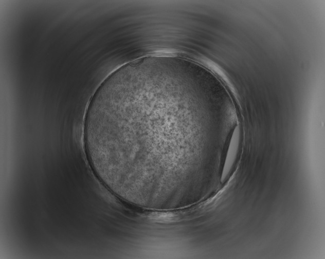 X0000089381194200706291311