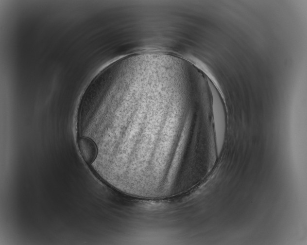 X0000089381195200706291311