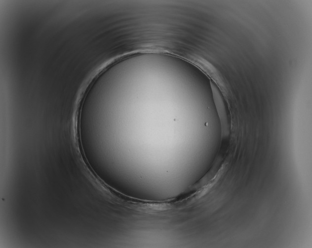 X0000089381196200706291311