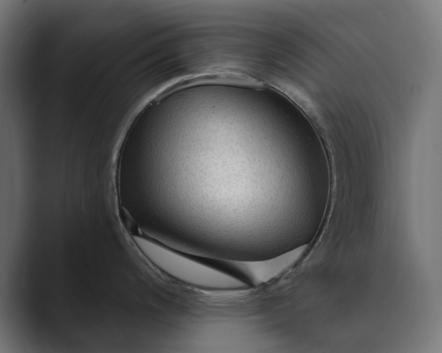 X0000089381200200706291311
