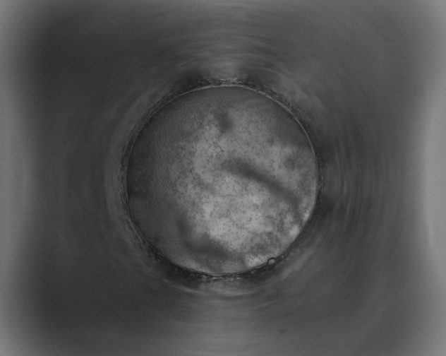 X0000089381201200706291310