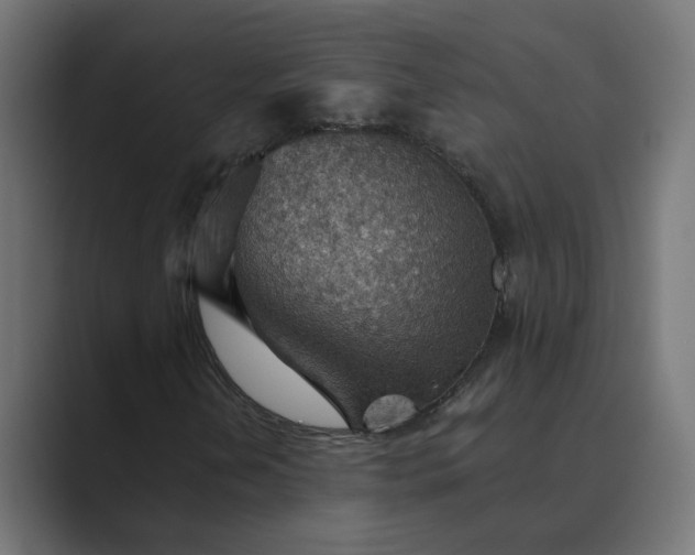 X0000089381202200706291310