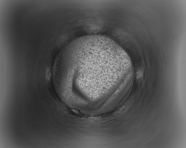 X0000089381204200706291310