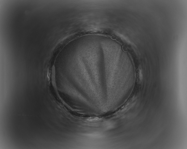 X0000089381206200706291310
