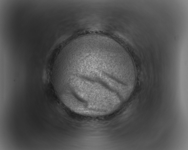 X0000089381207200706291310