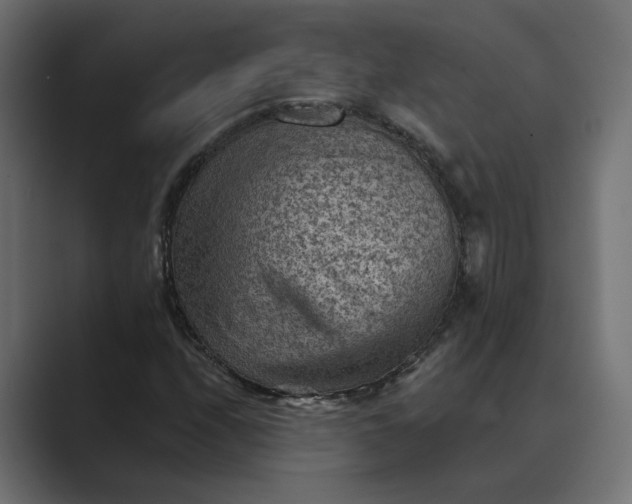 X0000089381208200706291310