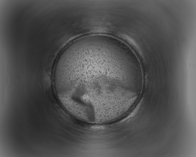 X0000089381212200706291311