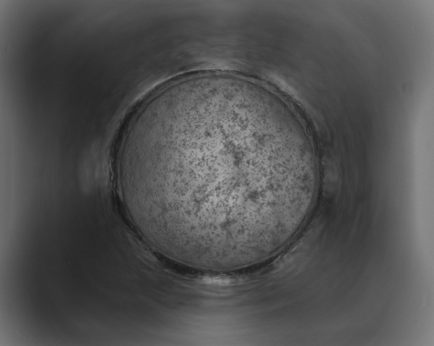 X0000089381215200706291311