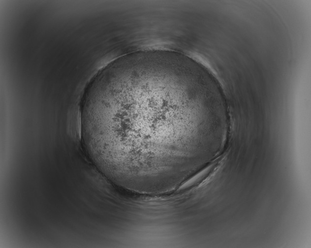 X0000089381219200706291311