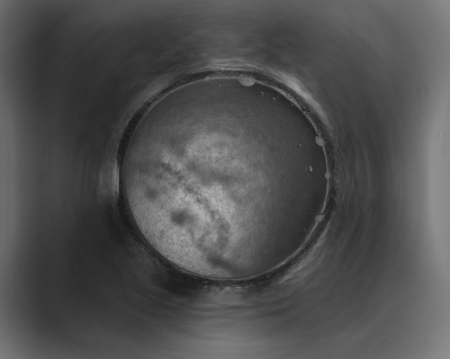 X0000089381221200706291311