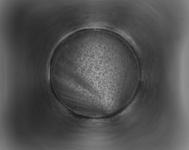 X0000089381224200706291311