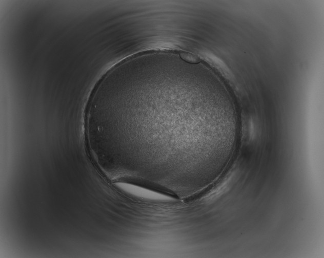 X0000089381226200706291311