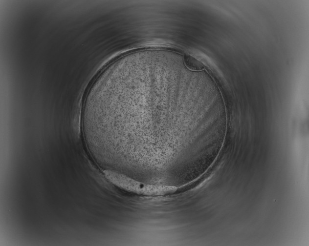 X0000089381228200706291311