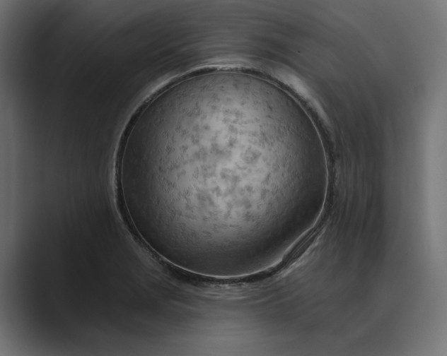 X0000089381229200706291311